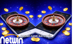 3 đôi thông Netwin