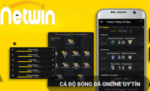 Biến động kèo bóng Netwin