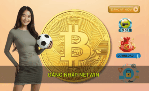Hướng dẫn đăng nhập Netwin